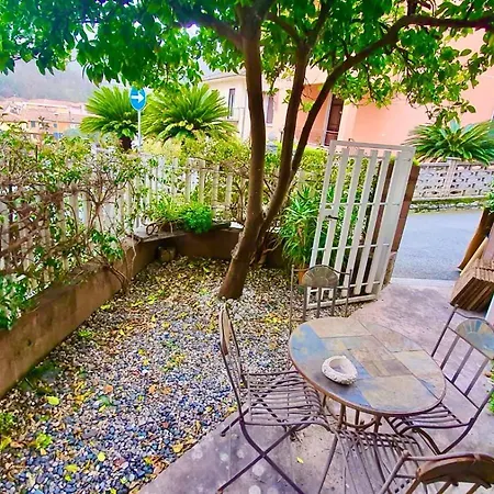 Iris * 卡萨察利古勒