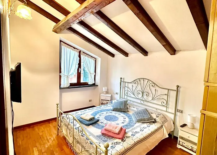 Iris * 卡萨察利古勒